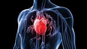 Heart diseases
